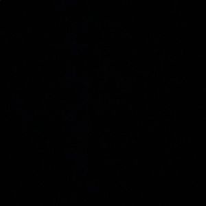 Meet your Posher, Cassidy